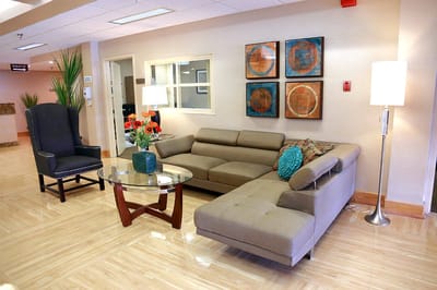 Cozy lounge area with comfortable seating and decorative plants