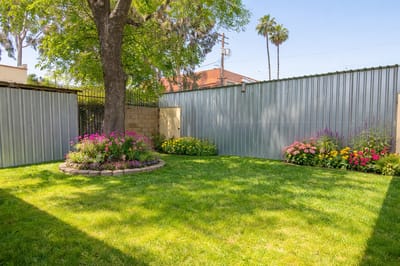 A sunny garden with colorful flowers and grass