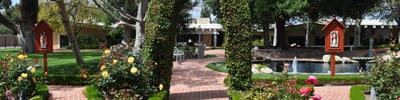 Beautiful garden with walking paths and water feature