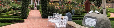 Beautiful garden path with rose bushes and benches