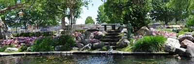 Beautiful outdoor garden area with flowers and water feature
