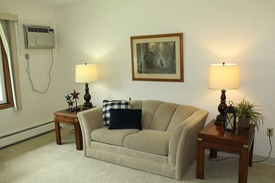 Comfortable living room with sofa and lamps