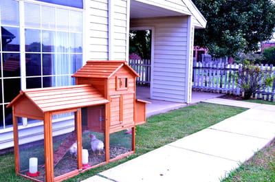 Outdoor chicken coop near the facility entrance