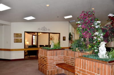 Bright and welcoming lobby area with greenery