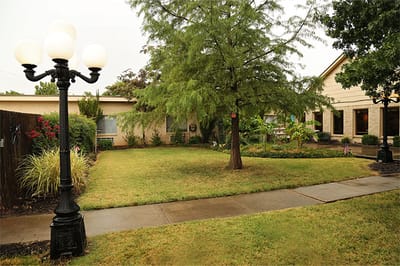Garden area with a lamp post and trees