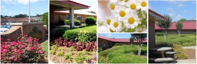 Outdoor gardens and building exterior with flowers.