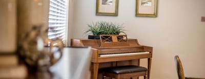 An interior view of a piano with decor plants