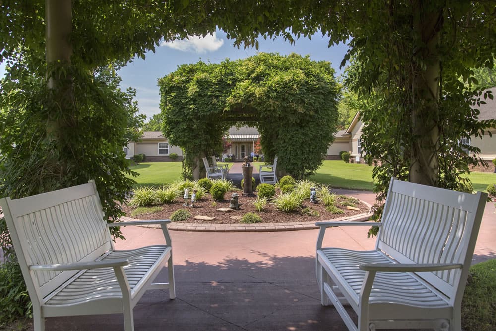 Sunlit garden area with benches and greenery