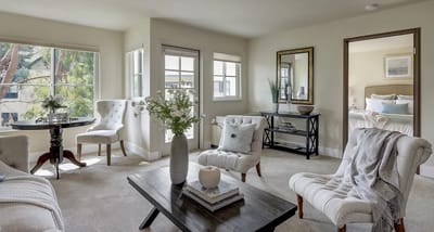 Bright interior living room with cozy seating