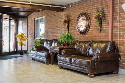 Cozy lobby area with brown sofas and decorative plants