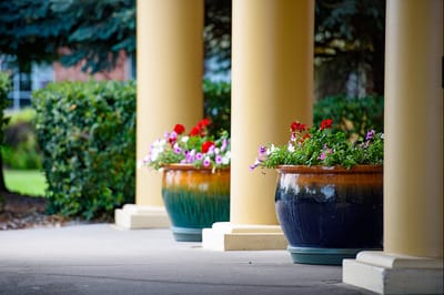 Colorful flower pots beside entrance pillars