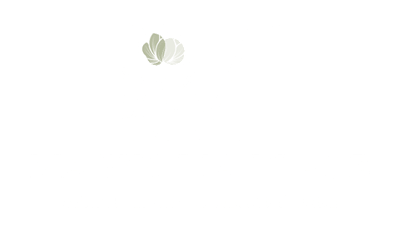 A simple logo design featuring leaves
