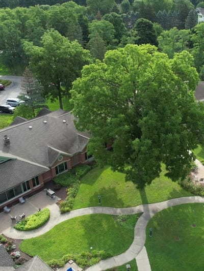 Aerial view of a landscaped outdoor area with pathways