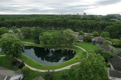 Aerial view of a serene pond surrounded by greenery