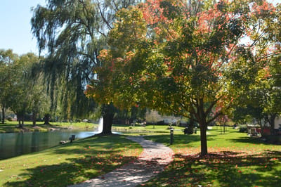 Vibrant fall scene in a landscaped outdoor space