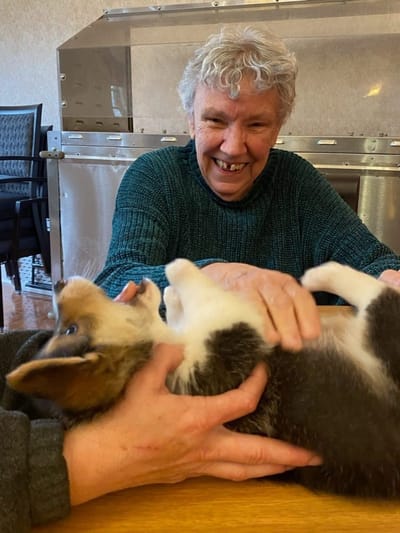 A resident joyfully playing with a puppy indoors