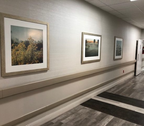 Art displayed on the walls of a hallway