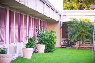 Outdoor area with plants and seating