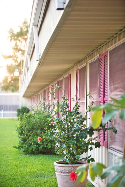 Outdoor view of a garden with flower pots