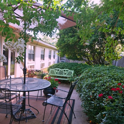 Outdoor seating area with plants and greenery
