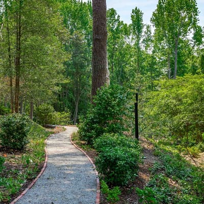 Pathway through a landscaped garden