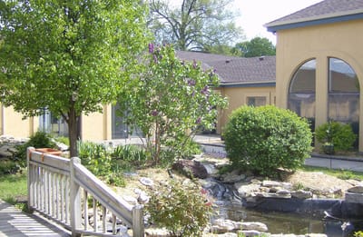 Lush garden area with a pond and greenery