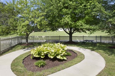 A serene garden area with a winding path and trees