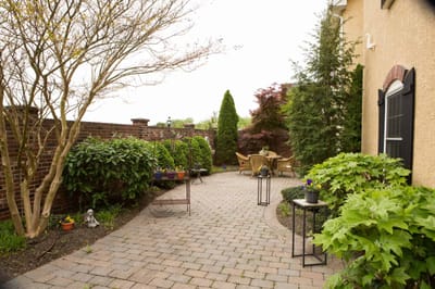 Pathway through a landscaped outdoor space