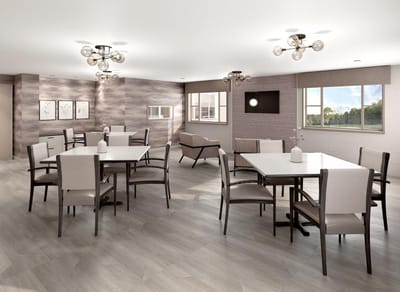 Bright dining area with modern furniture and natural light
