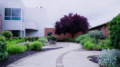 Pathway through a landscaped garden area