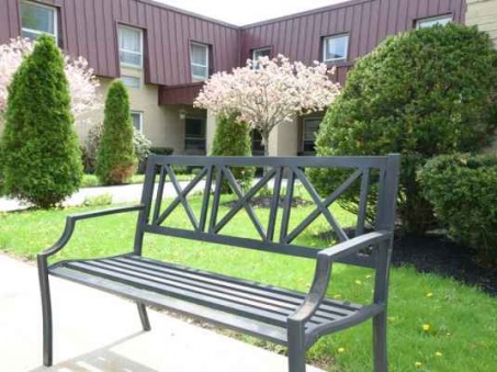 Metal bench in a landscaped outdoor area