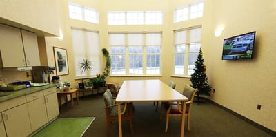 Bright, cozy common area with large windows and a Christmas tree