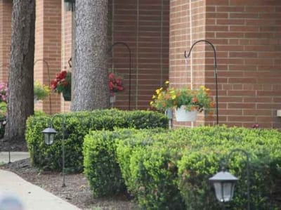 Flower arrangements and greenery near the facility entrance