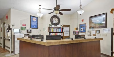 Reception area with a welcoming front desk and decor