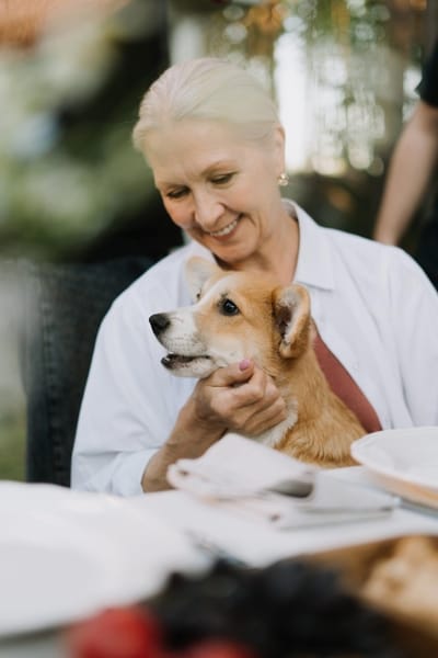 A senior woman enjoying time with a corgi
