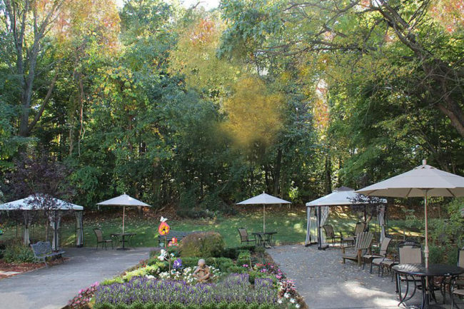 Outdoor garden area with seating and umbrellas