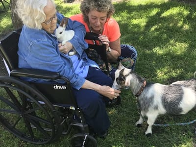 Resident interacting with animals in a garden