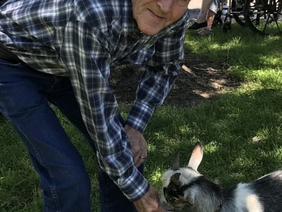 A resident interacting with a goat in a garden