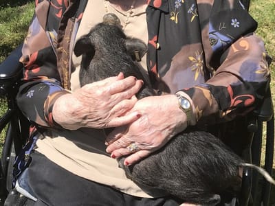 A resident holding a small pig outdoors