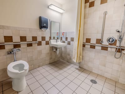 Accessible bathroom with grab bars and shower