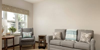 Cozy living room with gray furniture and natural light