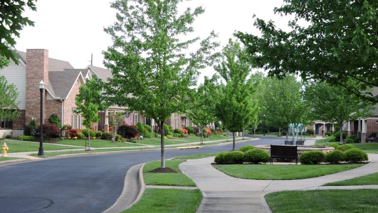 A picturesque view of a tree-lined residential street