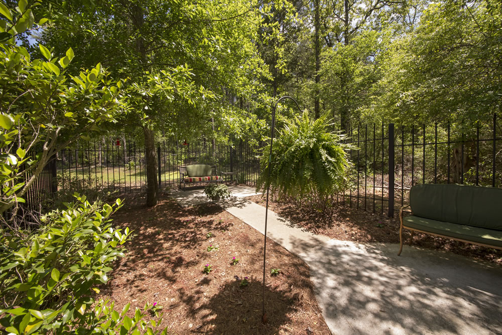 Pathway through a serene garden space