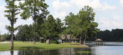 Scenic view of a pond surrounded by trees and buildings