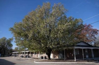 Exterior view of a senior living facility with trees