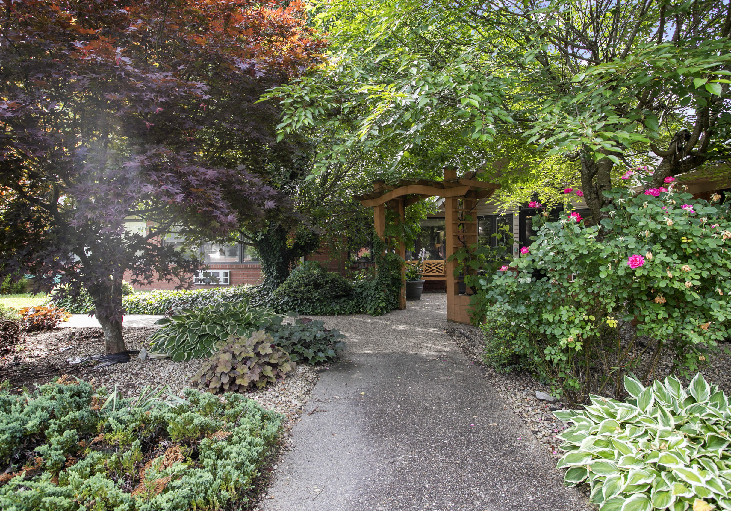 Pathway through vibrant garden with flowers and trees