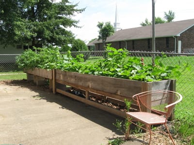 Raised garden beds in an outdoor space
