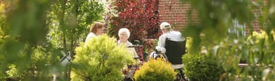 Residents enjoying time in a lush outdoor space