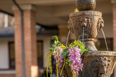 Decorative fountain with flowers in outdoor space