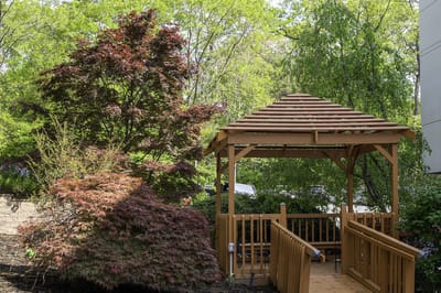 Wooden gazebo surrounded by colorful shrubs